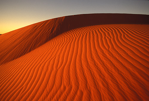 Kalahari Desert_1